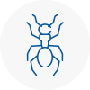Ant Removals In Victoria
