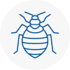 Bed Bug Extermination In Victoria