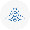 Bee Nest Removal Victoria
