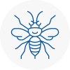 Victoria Hornet Nest Removals