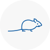 Mice Exterminators In Victoria