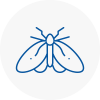Moth Control Specialists In Victoria