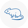 Rat Control Victoria