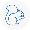 Victoria Rodent Removals